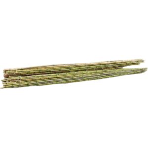 Colihue Verde 3 MT