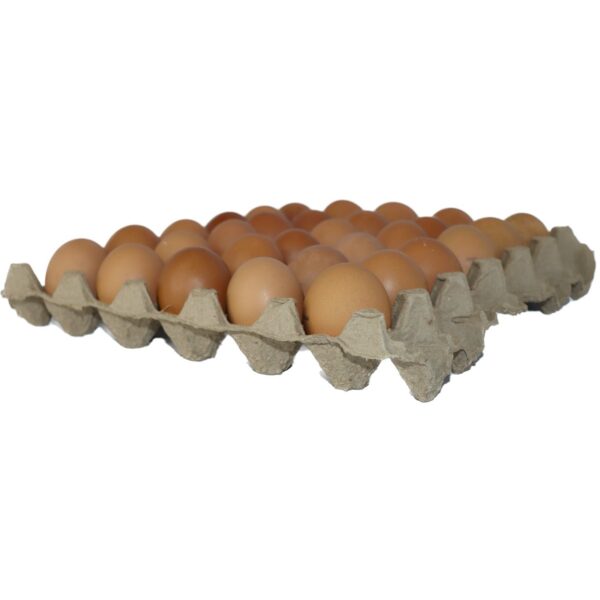 Bandeja de 30 huevos